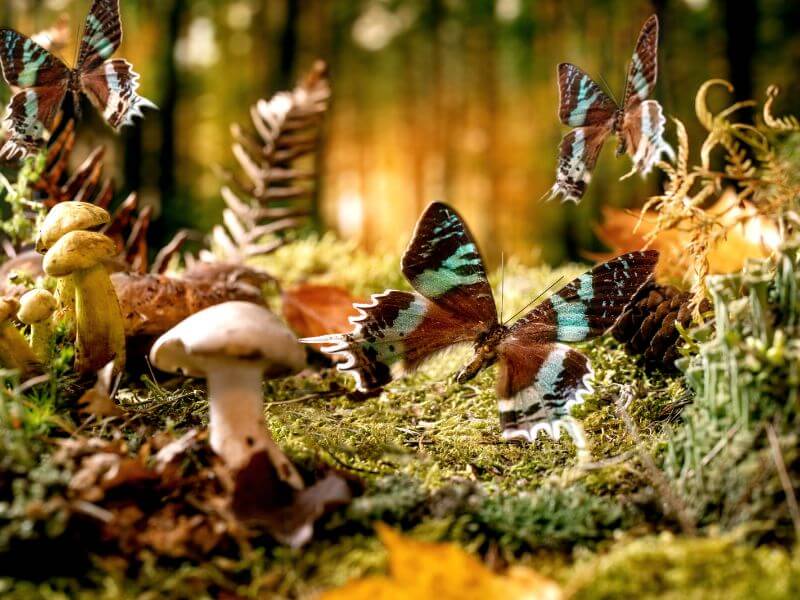 Escape Game Reise ins Unbekannte